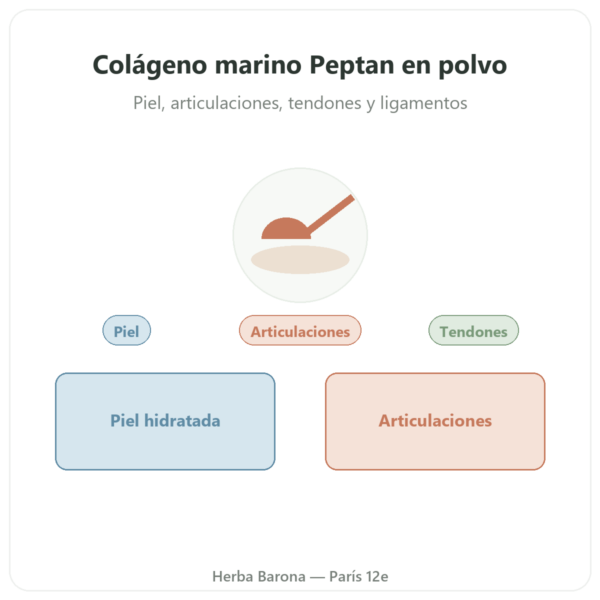 Colágeno marino hidrolizado en polvo – péptidos Peptan® – Dynveo presentación Paris Herba Barona