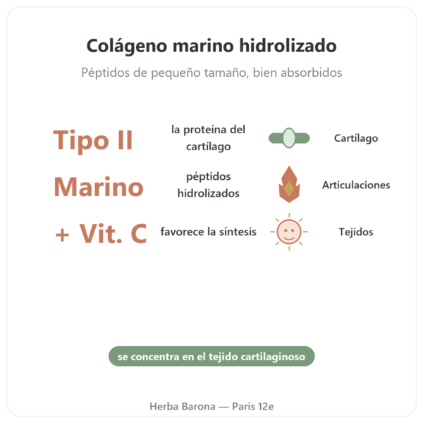 Colágeno Marino de Tipo II – Vital Osmose – Cápsulas beneficios y datos clave Paris Herba Barona