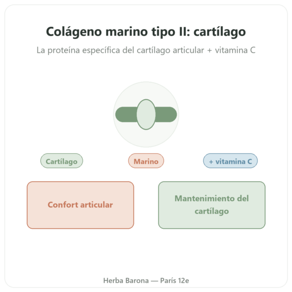 Colágeno Marino de Tipo II – Vital Osmose – Cápsulas presentación Paris Herba Barona