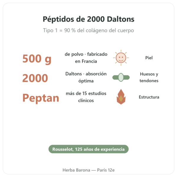 Colágeno Péptido Tipo 1 de Vacuno – 500 g – Nutrimuscle beneficios y datos clave Paris Herba Barona