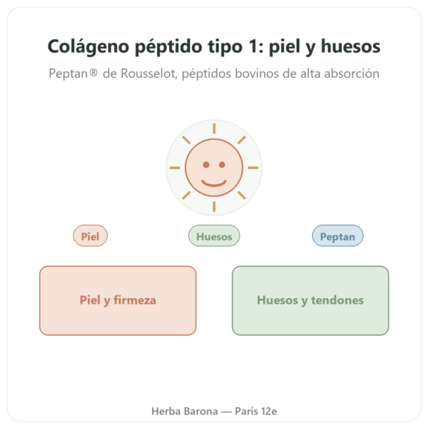 Colágeno Péptido Tipo 1 de Vacuno – 500 g – Nutrimuscle presentación Paris Herba Barona