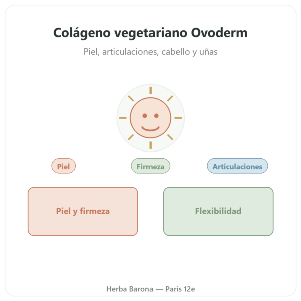 Colágeno Vegetariano – Dynveo – 60 cápsulas – colágeno, elastina, ácido hialurónico presentación Paris Herba Barona
