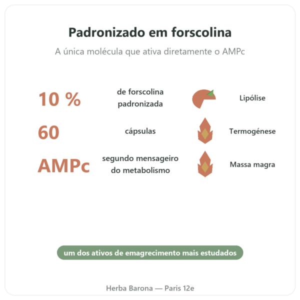 Coleus Forskohlii – Ayur-vana – 60 cápsulas benefícios e dados principais Paris Herba Barona