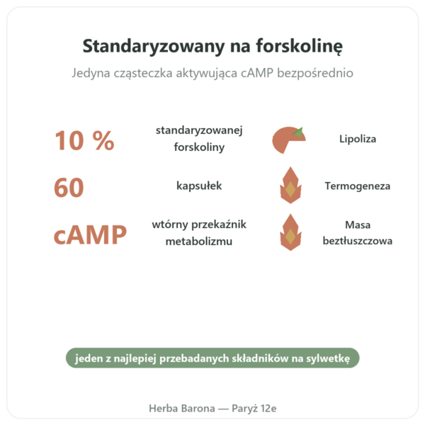 Coleus Forskohlii – Ayur-vana – 60 kapsułek korzyści i najważniejsze fakty Paris Herba Barona