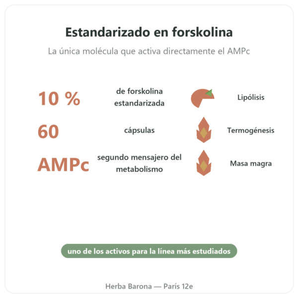 Coleus Forskohlii – Ayur-vana – 60 Cápsulas beneficios y datos clave Paris Herba Barona