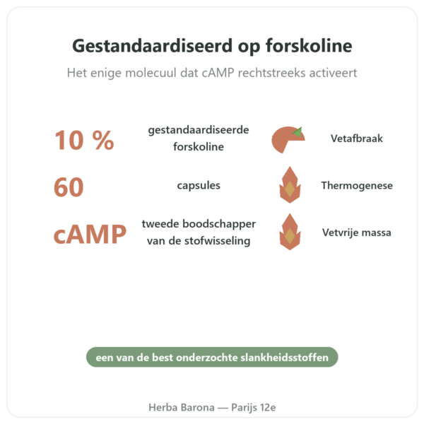 Coleus Forskohlii – Ayur-vana – 60 capsules voordelen en kerngegevens Paris Herba Barona