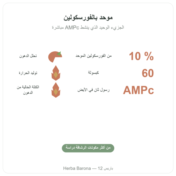 كوليوس فورسكوهلي – Ayur-vana – 60 كبسولة الفوائد والمعطيات الرئيسية Paris Herba Barona