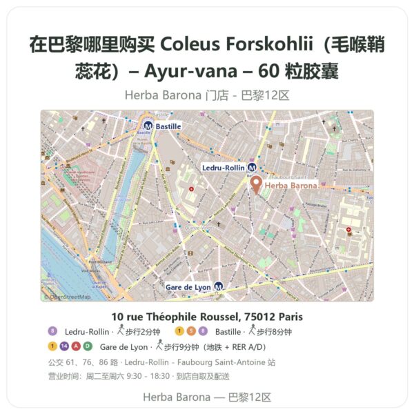 Coleus Forskohlii(毛喉鞘蕊花)– Ayur-vana – 60 粒胶囊 巴黎哪里能买到 - 门店地图 Herba Barona Paris 12e