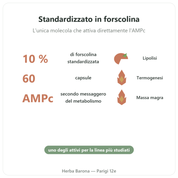 Coleus Forskohlii – Ayur-vana – 60 capsule benefici e dati chiave Paris Herba Barona