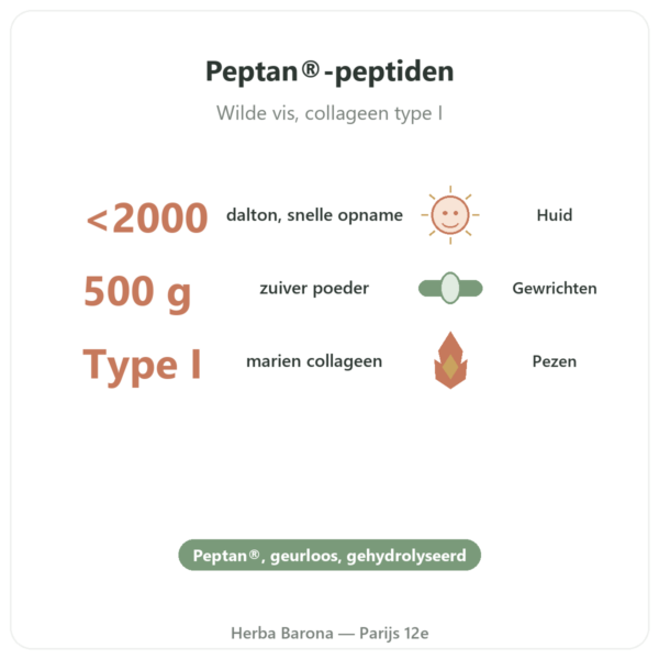 Collageen Marien Gehydrolyseerd Poeder – peptiden – Dynveo voordelen en kerngegevens Paris Herba Barona