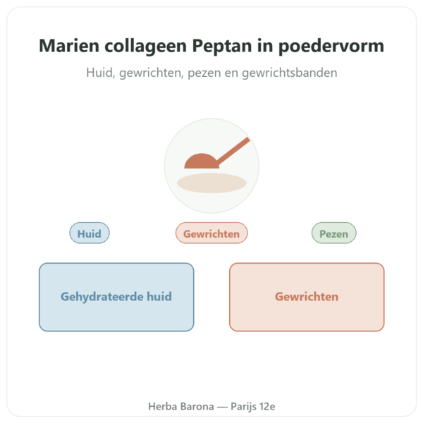 Collageen Marien Gehydrolyseerd Poeder – peptiden – Dynveo presentatie Paris Herba Barona
