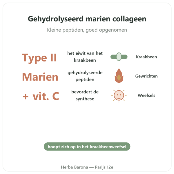 Marien Collageen Type II Vital Osmose in capsules voordelen en kerngegevens Paris Herba Barona