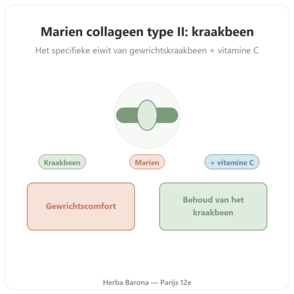 Marien Collageen Type II Vital Osmose in capsules presentatie Paris Herba Barona