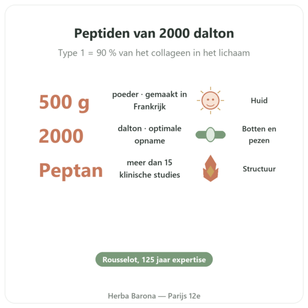 Collageen Peptide Type 1 Rund 500g – Nutrimuscle voordelen en kerngegevens Paris Herba Barona