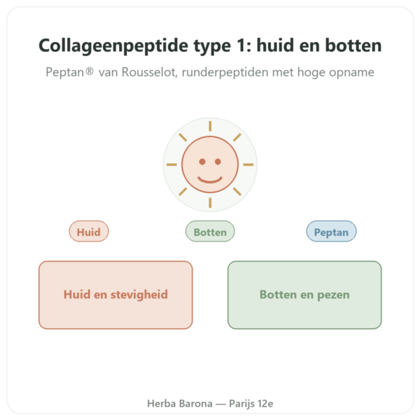 Collageen Peptide Type 1 Rund 500g – Nutrimuscle presentatie Paris Herba Barona