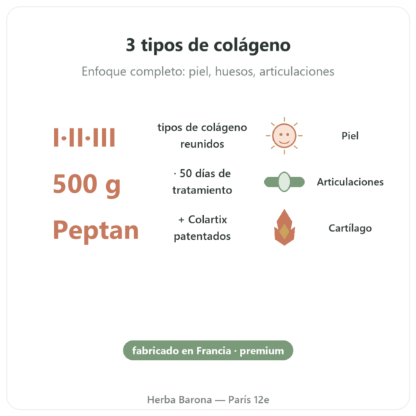 Collagen Mix – 500 g – Nutrimuscle beneficios y datos clave Paris Herba Barona