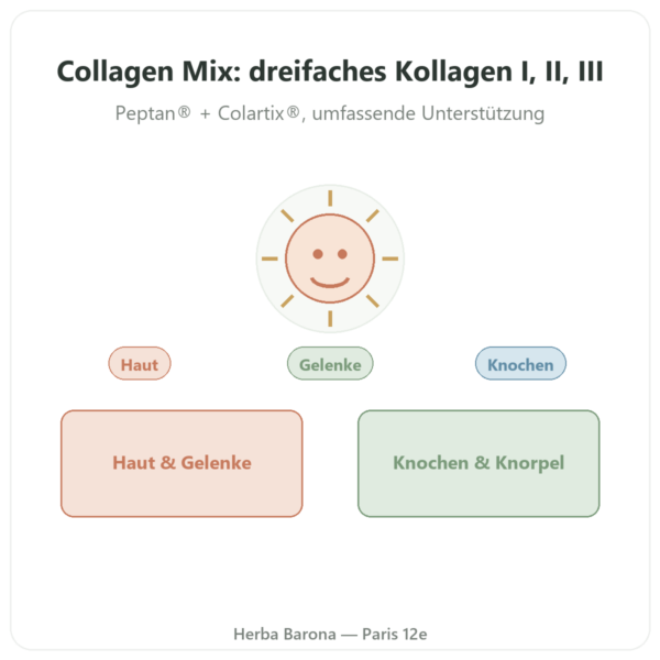 Collagen Mix – 500 g – Nutrimuscle Vorstellung Paris Herba Barona