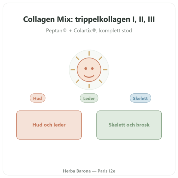 Collagen Mix 500g – Nutrimuscle presentation Paris Herba Barona