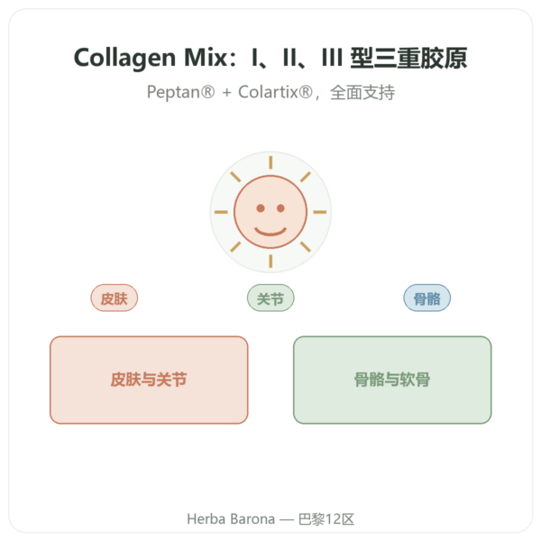 Collagen Mix 500g – Nutrimuscle 产品展示 Paris Herba Barona
