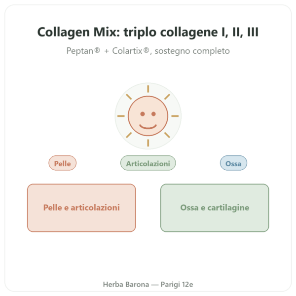 Collagen Mix 500g – Nutrimuscle presentazione Paris Herba Barona