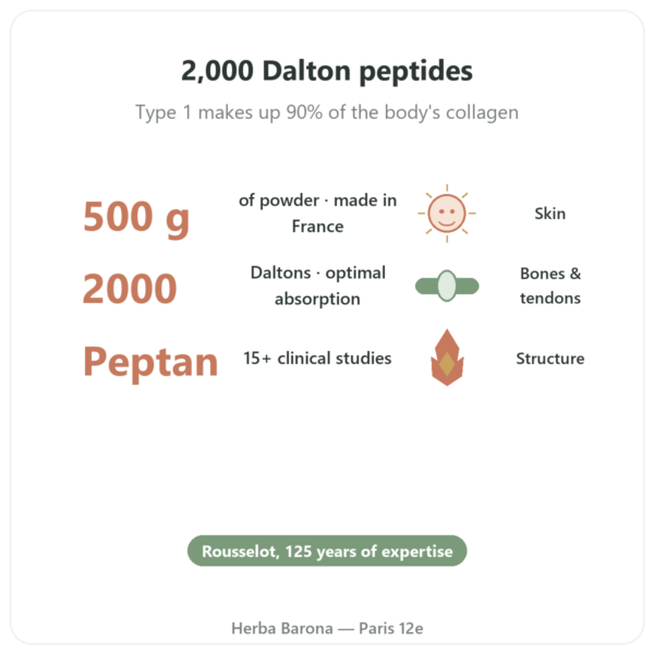Collagen Peptide Type 1 Beef 500g - Nutrimuscle benefits and key facts Paris Herba Barona