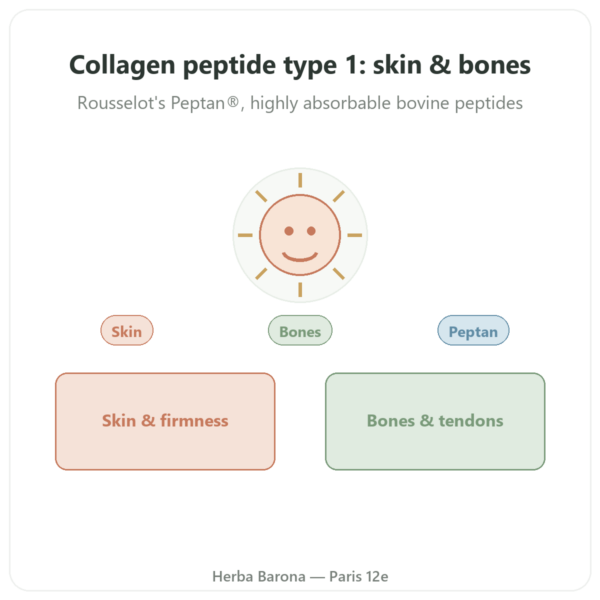 Collagen Peptide Type 1 Beef 500g - Nutrimuscle presentation Paris Herba Barona