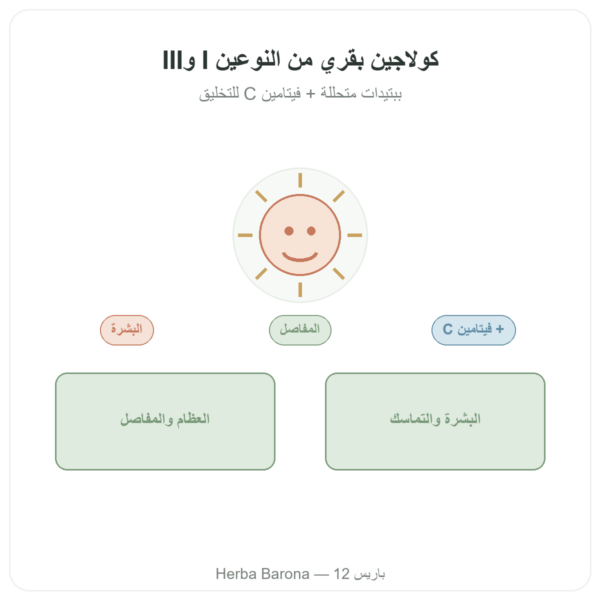 كولاجين بقري أقراص Type 1 and 3 – Doctor's Best عرض المنتج Paris Herba Barona