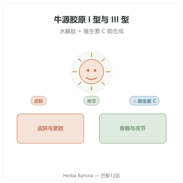 牛胶原蛋白片 I 型和 III 型 Doctor's Best 产品展示 Paris Herba Barona