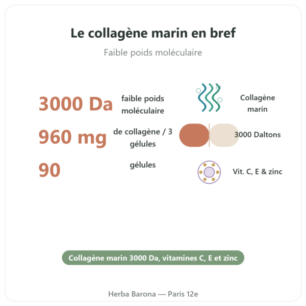 Collagene marin 3000 Da Qualidiet 90 gelules en bref Paris Herba Barona
