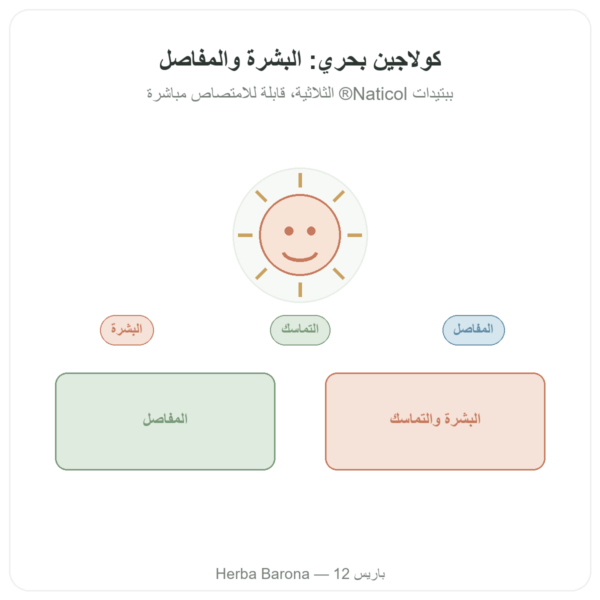كولاجين بحري مركّز – Dynveo – 120 كبسولة عرض المنتج Paris Herba Barona