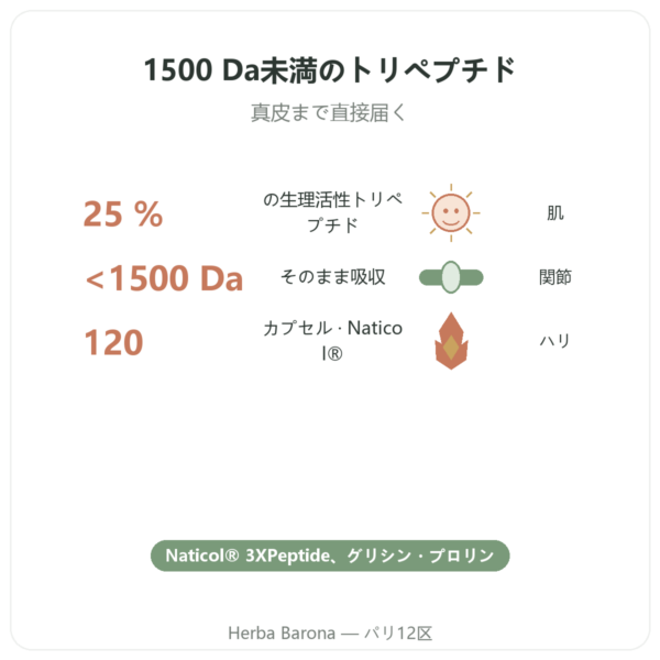 濃縮マリンコラーゲン – Dynveo – 120カプセル benefits and key facts Paris Herba Barona