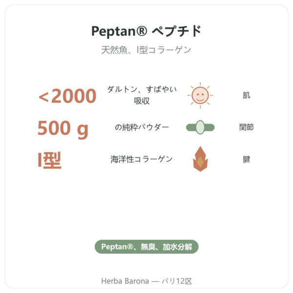 加水分解マリンコラーゲン パウダー – ペプチド – Dynveo benefits and key facts Paris Herba Barona