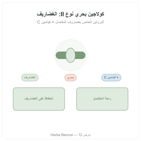كولاجين بحري نوع II – Vital Osmose – كبسولات عرض المنتج Paris Herba Barona
