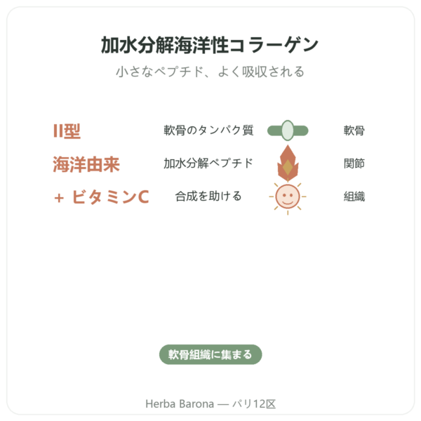 海洋性コラーゲン タイプII Vital Osmose カプセル benefits and key facts Paris Herba Barona