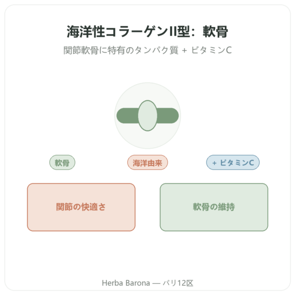 海洋性コラーゲン タイプII Vital Osmose カプセル presentation Paris Herba Barona