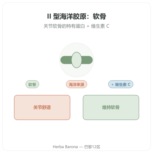 Vital Osmose II 型海洋胶原蛋白胶囊 产品展示 Paris Herba Barona