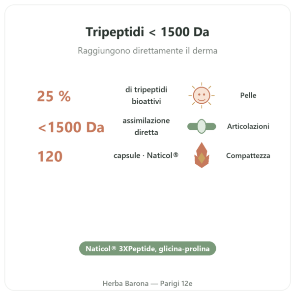 Collagene marino concentrato – Dynveo – 120 capsule benefici e dati chiave Paris Herba Barona