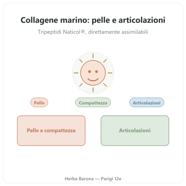 Collagene marino concentrato – Dynveo – 120 capsule presentazione Paris Herba Barona