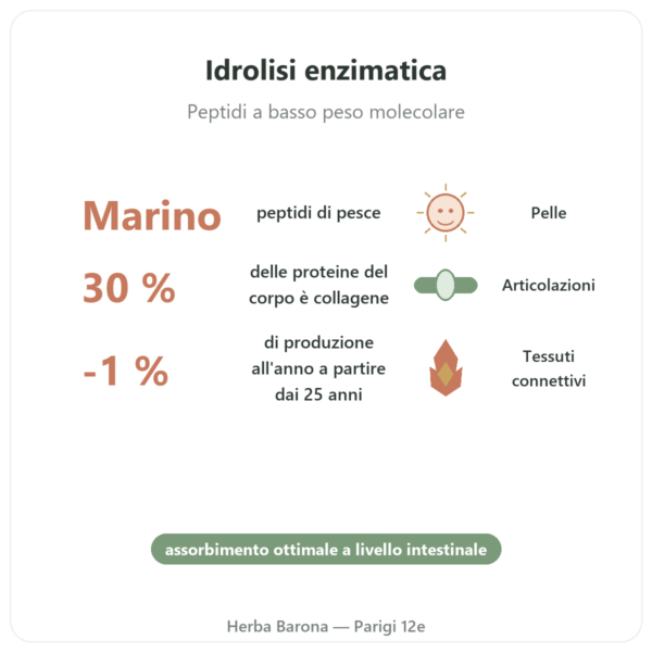 Collagene marino idrolizzato in capsule benefici e dati chiave Paris Herba Barona