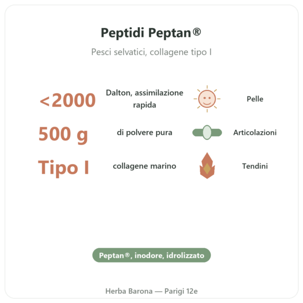 Collagene marino idrolizzato in polvere – peptidi – Dynveo benefici e dati chiave Paris Herba Barona