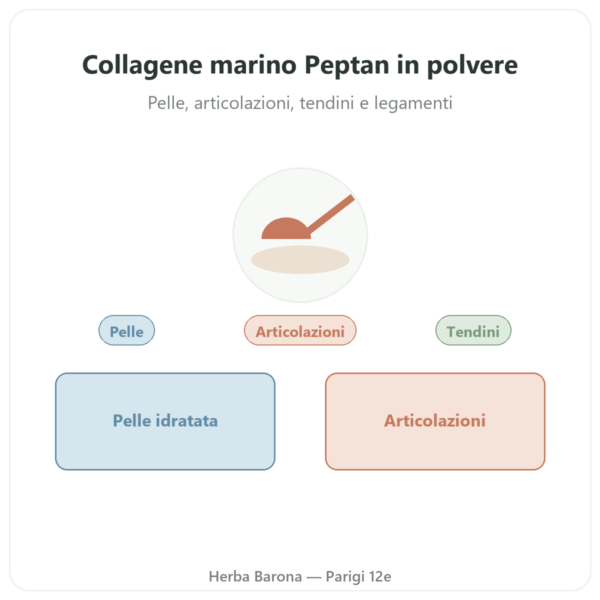 Collagene marino idrolizzato in polvere – peptidi – Dynveo presentazione Paris Herba Barona