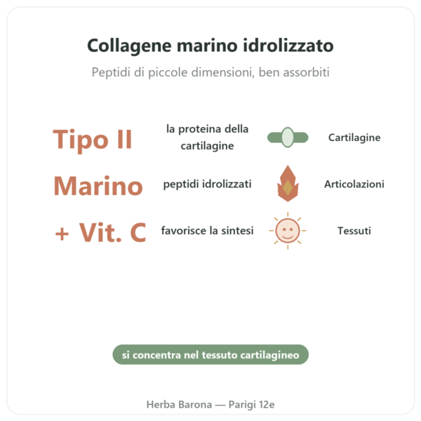 Collagene Marino di Tipo II Vital Osmose in capsule benefici e dati chiave Paris Herba Barona