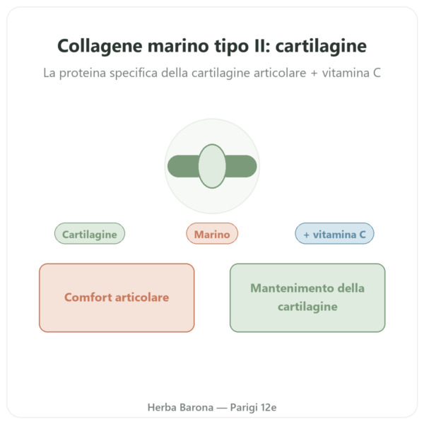 Collagene Marino di Tipo II Vital Osmose in capsule presentazione Paris Herba Barona