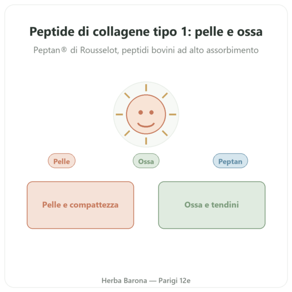 Collagene Peptide Tipo 1 Manzo 500g – Nutrimuscle presentazione Paris Herba Barona