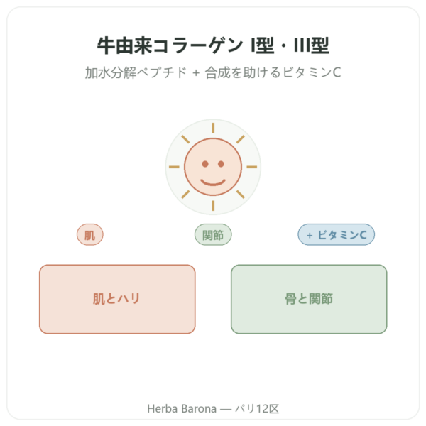 牛由来コラーゲン タブレット I 型・III 型 Doctor’s Best presentation Paris Herba Barona