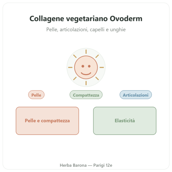 Collagene Vegetariano – Dynveo – 60 capsule – collagene, elastina, acido ialuronico presentazione Paris Herba Barona