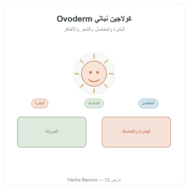 كولاجين نباتي (بيضي) – Dynveo – 60 كبسولة – كولاجين، إيلاستين، حمض هيالورونيك عرض المنتج Paris Herba Barona