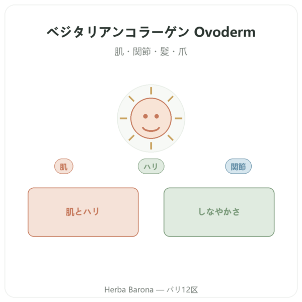 ベジタリアン コラーゲン – Dynveo – 60粒 – コラーゲン、エラスチン、ヒアルロン酸 presentation Paris Herba Barona