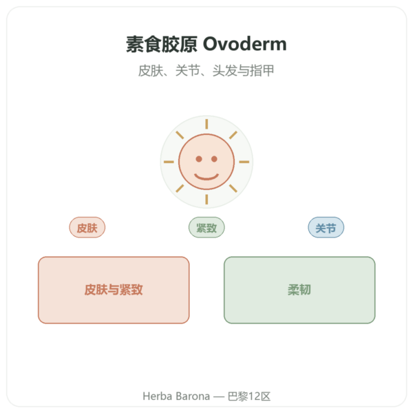 素食胶原蛋白 – Dynveo – 60 粒 – 胶原蛋白、弹性蛋白、透明质酸 产品展示 Paris Herba Barona