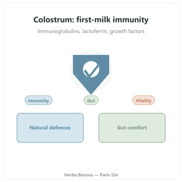 Colostrum – SIHO – 60 capsules presentation Paris Herba Barona